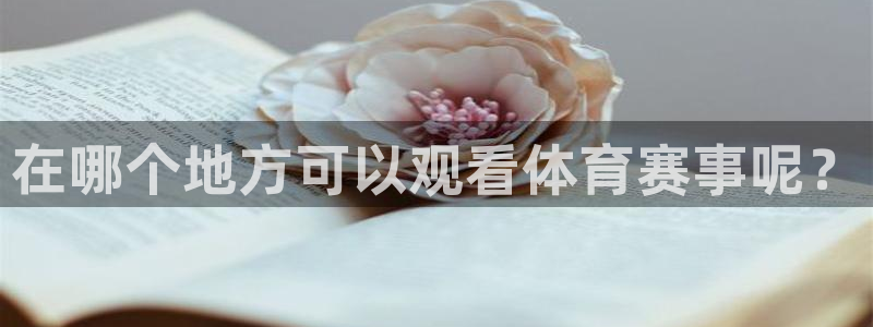 在哪个地方可以观看体育赛事呢？
