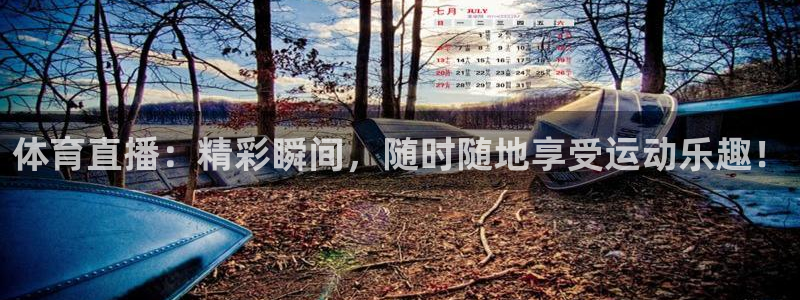 体育直播：精彩瞬间，随时随地享受运动乐趣！